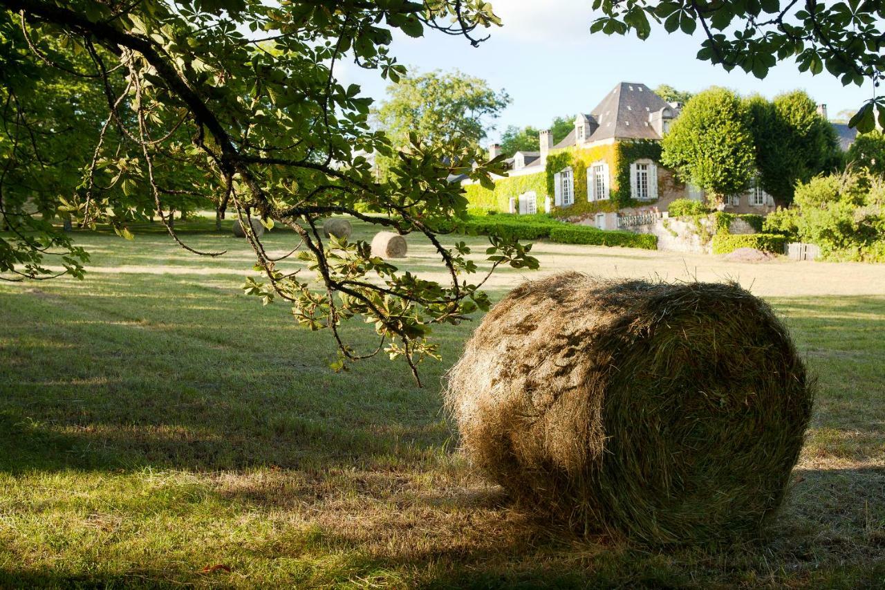 Villa La Chartreuse du Maine à Cubjac Extérieur photo